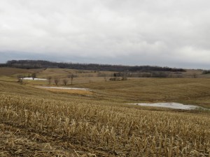 The integration of small wetlands and ponds across the landscape work to significantly slow down water, soil, and nutrient movement off the land during heavy rainfall.  They also provide valuable wildlife habitat at the same time.  There are numerous cost share opportunities for a variety of conservation practices that are available to landowners through the NRCS office (563-245-1048).